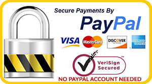Secure Payments with PayPal