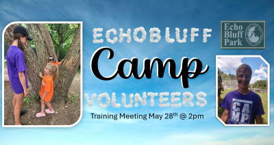 Volunteer At Camp  